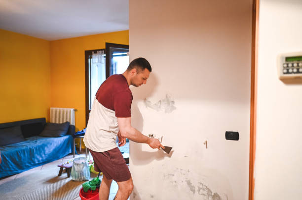 Best Crawl Space Mold Removal  in Heritage Lake, IL